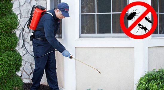Egekent Dezenfeksiyon böcek ilaçlama ve haşere kontrolü — ilaclama-tr.com